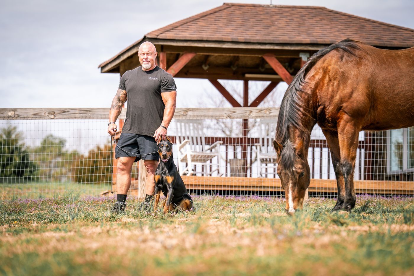 Man standing with a dog beside a horse near a wooden gazebo and fenced field