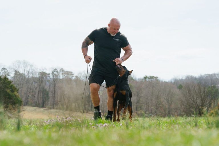Man and black dog walking in a grassy field, with trees in the background.