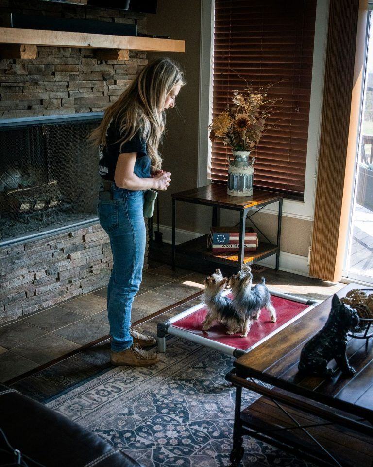 Woman standing by a fireplace looking at two small dogs on a pink blanket in a living room