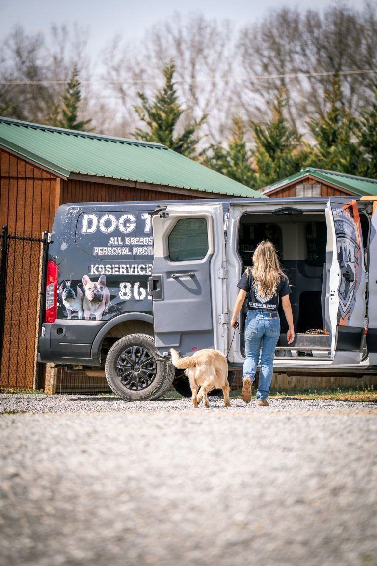 Woman with a dog beside a gray van and black dog sign in a rustic outdoor setting