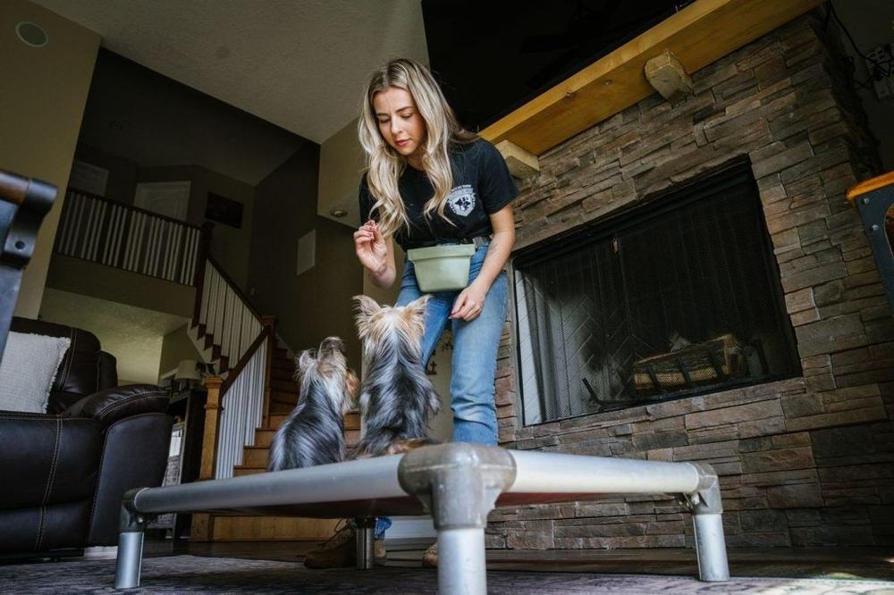 Woman leaning over to pet a dog on a raised cot in a living room near a brick fireplace