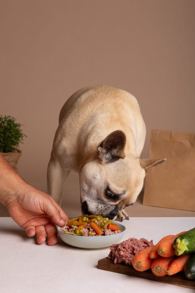 view adorable dog with bowl food scaled 1
