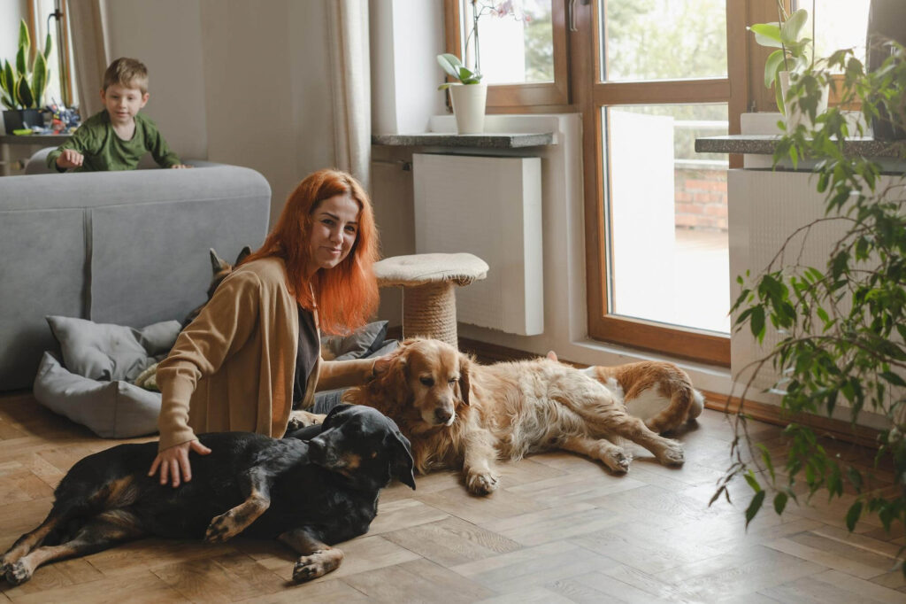 Multiple dogs inside house